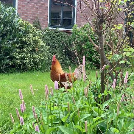 Luxury In Near Amsterdam Lägenhet Ilpendam