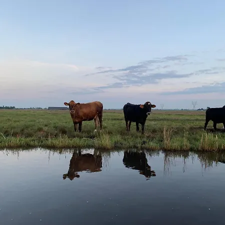 Luxury In Near Amsterdam Lägenhet