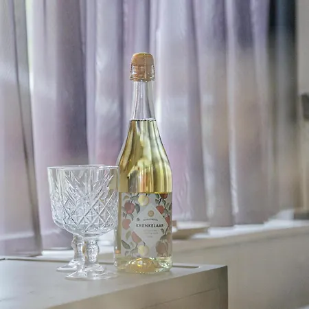 Luxury In Near Amsterdam 公寓