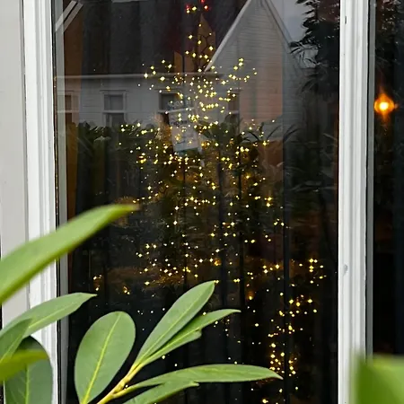 Luxury In Near Amsterdam *