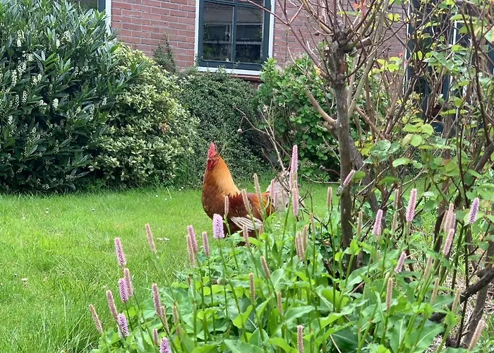 Luxury In Near Amsterdam 아파트 Ilpendam