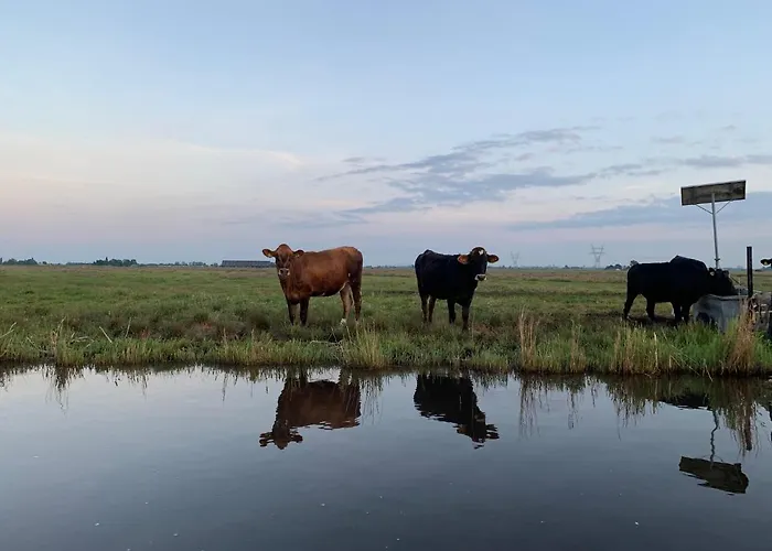 Luxury In Near Amsterdam 아파트